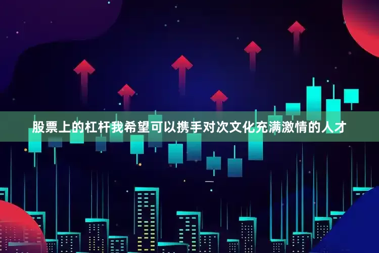 股票上的杠杆我希望可以携手对次文化充满激情的人才