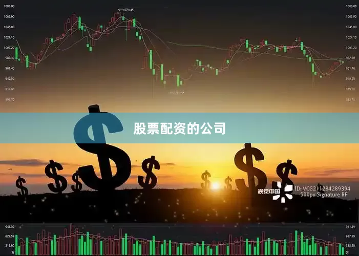 股票配资的公司