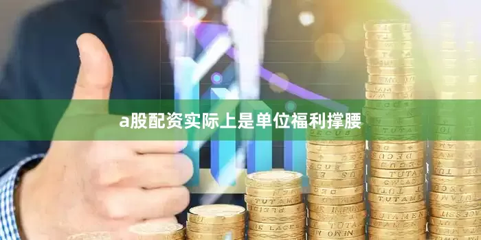 a股配资实际上是单位福利撑腰