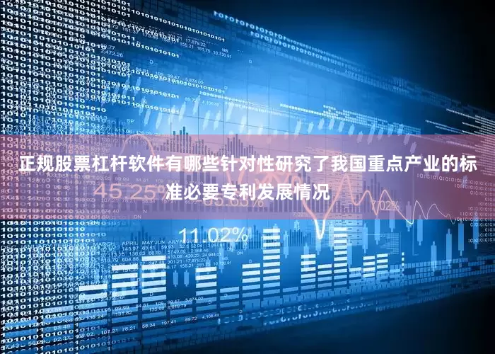 正规股票杠杆软件有哪些针对性研究了我国重点产业的标准必要专利发展情况